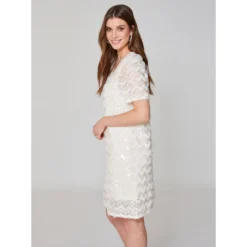 Robe Courte En Guipure | Robe Courte 3 SUISSES -Promos Robe Mirage Magasin robe courte en guipure 3236821 4 1140x1140